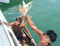 post-5029-0-99177500-1324386988_thumb.jp