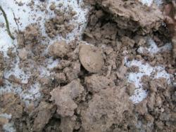 post-5580-0-05940800-1323001283_thumb.jp