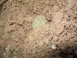 post-5580-0-10537900-1323001269_thumb.jp