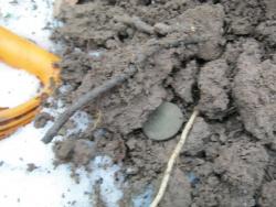 post-5580-0-36680200-1323001217_thumb.jp