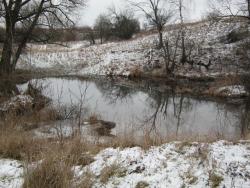 post-5580-0-36949000-1323697682_thumb.jp