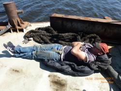 post-5580-0-63702800-1323704940_thumb.jp