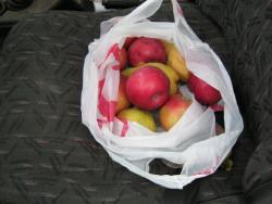 post-5580-0-67048500-1323001170_thumb.jp