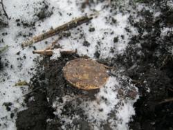 post-5580-0-77890600-1322843905_thumb.jp