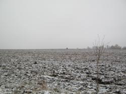 post-5580-0-90211700-1322843923_thumb.jp