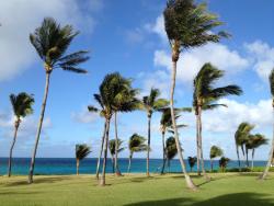 post-6698-0-35624600-1323602952_thumb.jp