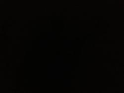 post-6698-0-51628500-1323685951_thumb.jp