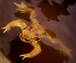 post-7090-0-02311100-1323842507_thumb.jp