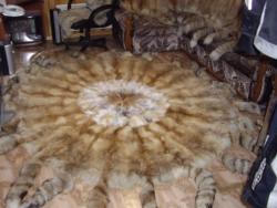 post-7090-0-29372400-1323594880_thumb.jp