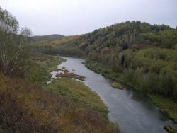 post-7090-0-33544400-1322736715_thumb.jp