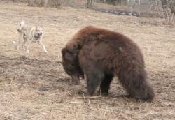 post-7090-0-36442000-1323169968_thumb.jp