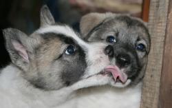 post-7090-0-50079600-1323169900_thumb.jp