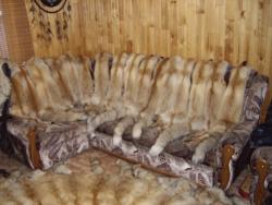 post-7090-0-50213400-1323594981_thumb.jp