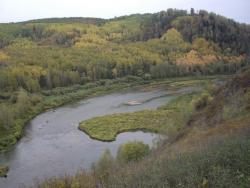 post-7090-0-88946900-1322736558_thumb.jp