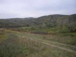 post-7090-0-96698200-1322736645_thumb.jp