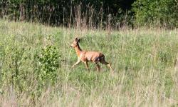 post-7141-0-85119200-1324912014_thumb.jp