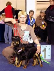 post-8603-0-28465300-1324246284_thumb.jp