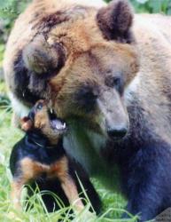 post-8603-0-51798900-1324246338_thumb.jp