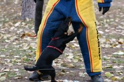 post-8603-0-63280900-1324246357_thumb.jp