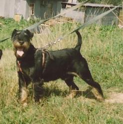 post-8603-0-70177500-1324246303_thumb.jp