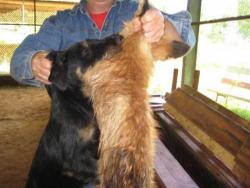 post-8603-0-78162900-1324246397_thumb.jp