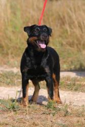 post-8603-0-86629100-1324246290_thumb.jp