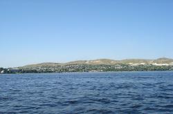 post-12373-0-55406600-1356523225_thumb.j