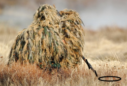 post-17252-0-08804600-1355242183_thumb.p