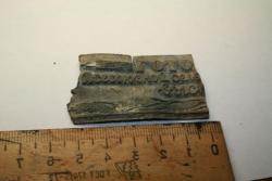 post-17252-0-30050400-1355083423_thumb.j