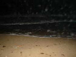 post-17309-0-42807600-1355384467_thumb.j