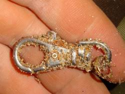 post-17309-0-46659100-1356678613_thumb.j