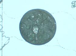 post-17557-0-58341500-1355152385_thumb.j