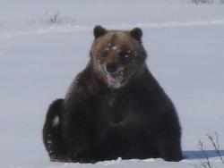 post-2401-0-00445100-1355159616_thumb.jp