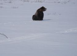 post-2401-0-61199800-1355159664_thumb.jp