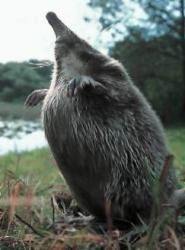 post-2627-0-95800200-1355154081_thumb.jp