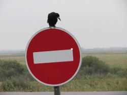 post-3156-0-37898000-1356611732_thumb.jp