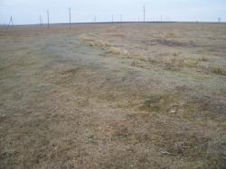 post-4269-0-32388600-1354459229_thumb.jp