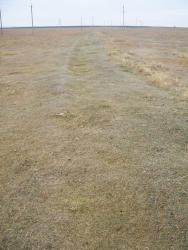 post-4269-0-88855900-1354459279_thumb.jp