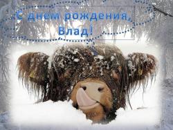 post-4485-0-96955300-1356243731_thumb.jp