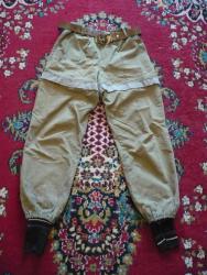 post-6129-0-00500200-1356675919_thumb.jp