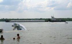 post-6245-0-51401700-1356930479_thumb.jp