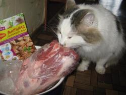 post-6368-0-71708900-1355091282_thumb.jp