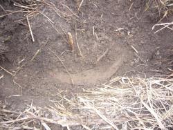 post-7851-0-09375300-1355039835_thumb.jp