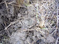 post-7851-0-36959500-1355039911_thumb.jp