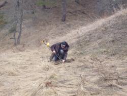 post-7851-0-80433800-1355039699_thumb.jp