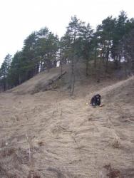 post-7851-0-86804800-1355039721_thumb.jp