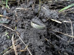 post-8735-0-06845000-1355141716_thumb.jp