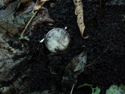 post-8735-0-14752400-1355141756_thumb.jp