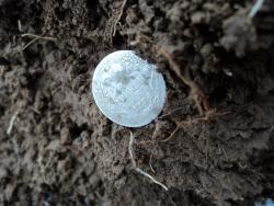 post-8735-0-58464300-1355141490_thumb.jp