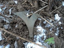 post-8735-0-74997200-1355141686_thumb.jp